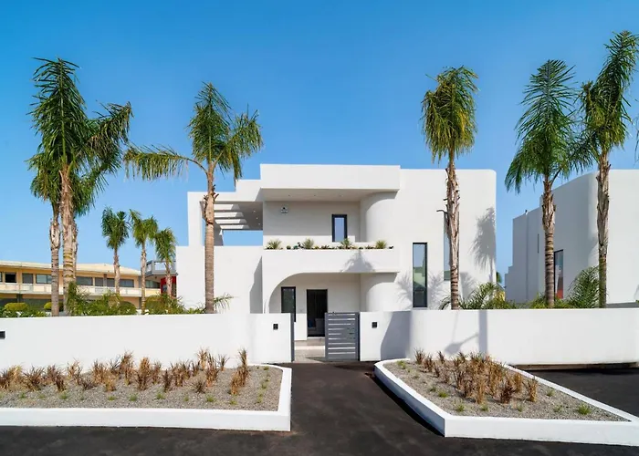 Palmeras Evelia By イアリソス