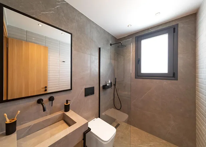 Palmeras Evelia By Jalisos